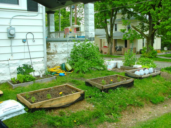 Small Space. . ..BIG harvest! May13211