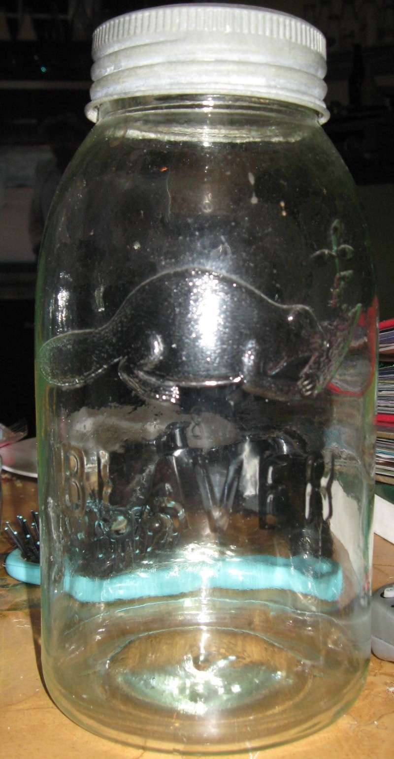 3 bouteille beaver Boutei37