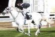 خيول قطر Images24