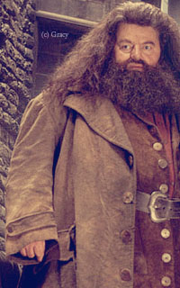 Personnel de Poudlard Hagrid11