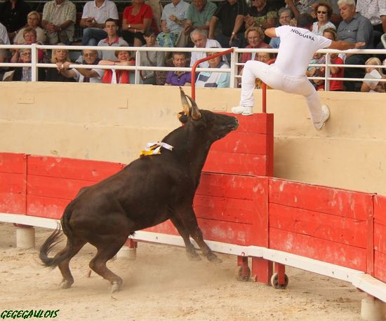 CODOGNAN -  Avenir  13-06-2010 Codoga19