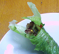 Dukan Spicy Turkey Wraps Dukan-10