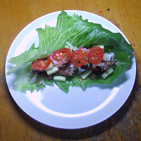 Dukan Spicy Turkey Wraps Dukan-11