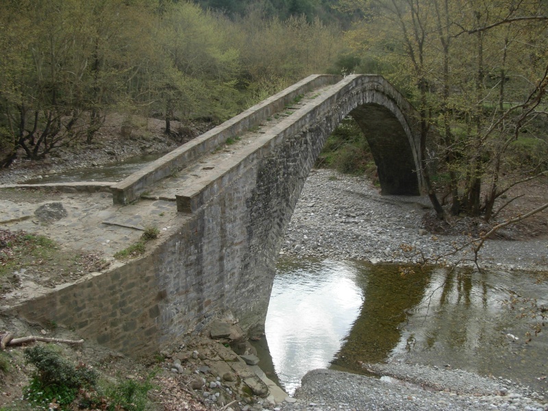 Πέτρινο γεφύρι στο Μεσόπυργο (Καμαρούλα) Dscn1310