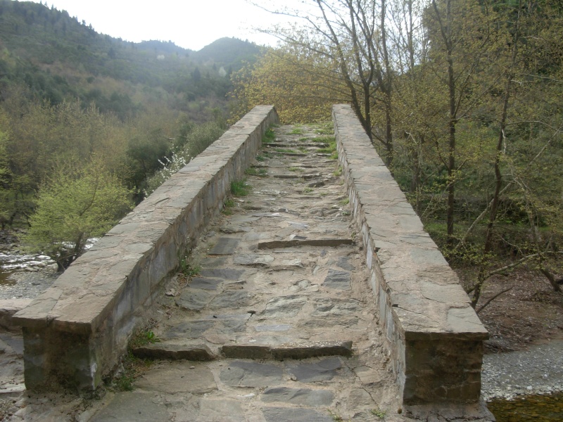 Πέτρινο γεφύρι στο Μεσόπυργο (Καμαρούλα) Dscn1313