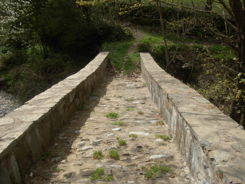 Πέτρινο γεφύρι στο Μεσόπυργο (Καμαρούλα) Dscn1317