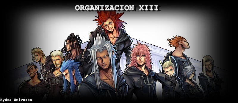 Organización XIII