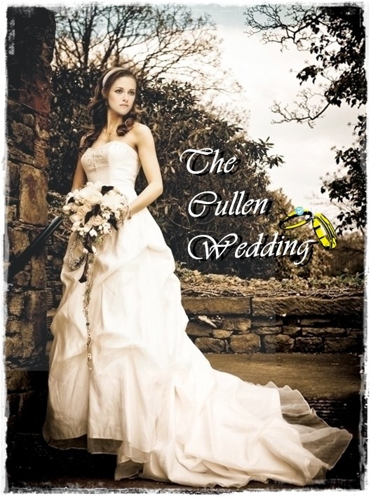 [Breaking Dawn - Part1] La Robe de mariée de Bella (Spoilers) - Page 8 67265511