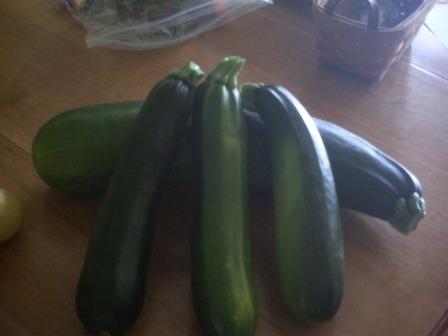 First harvest of 2010 - Zuchinni & Squash Pict0044