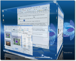 Mandriva Linux OS 2010 Deskto10