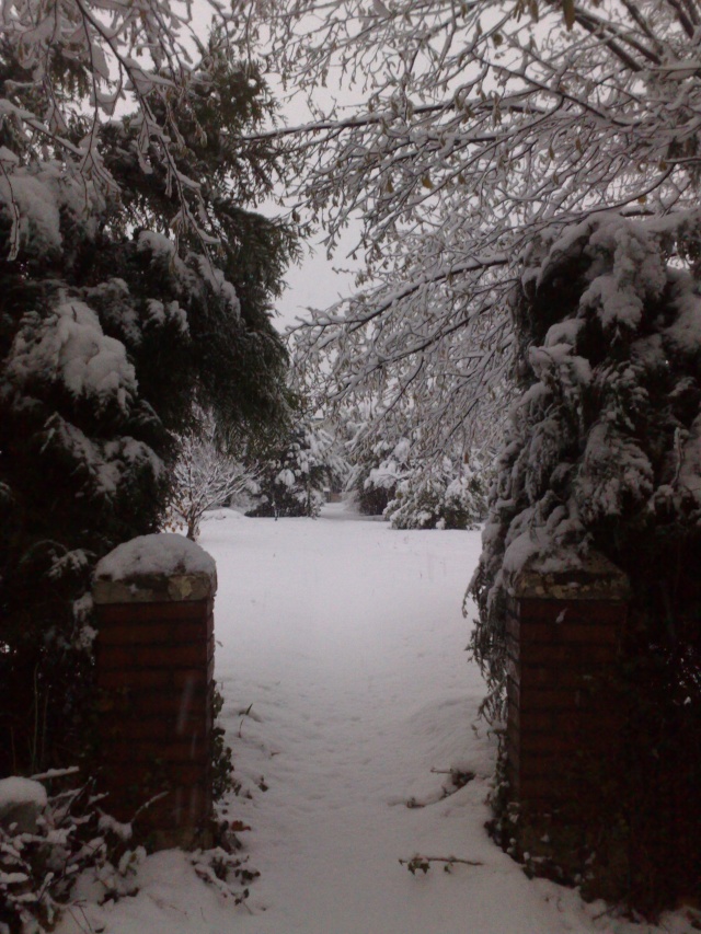 On est pas en Alsace mais ici aussi il neige! ;-) 08122018