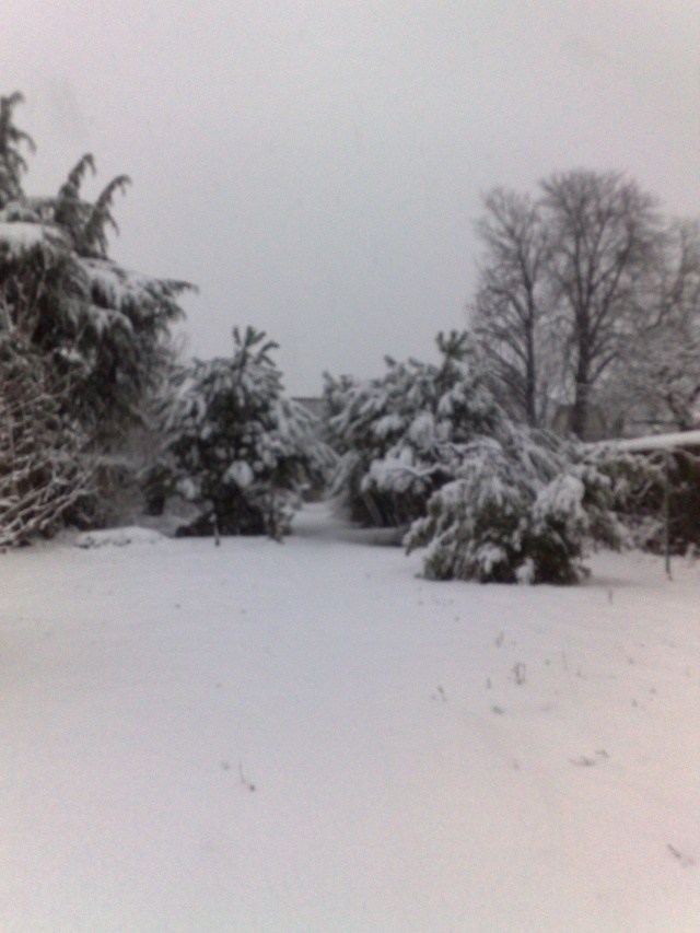 On est pas en Alsace mais ici aussi il neige! ;-) 08122019