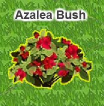 Azalea Bush Captur33