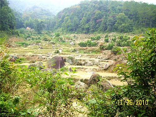 登王寿山 3_aao10