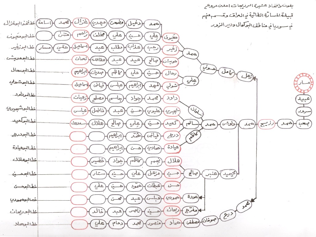 شجرة نسب الرزيجات Oooo_u10