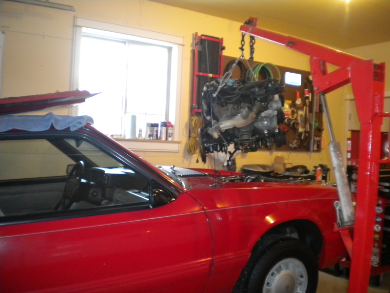 1992 Ford ranger turbo build.   Dscn0312