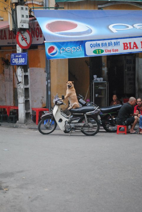 cười tí thôi!! 15524210