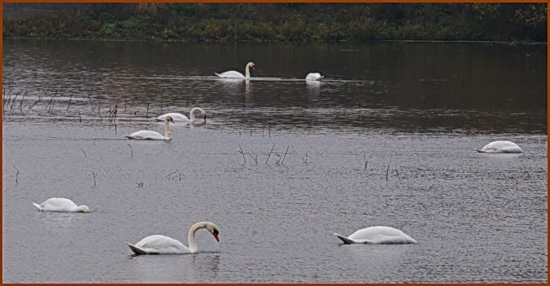 Le lac des Signes.... Lac_de10