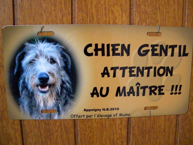 Attention chien... Dscn2010