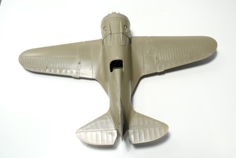 Polikarpov I-16 Type 17 mosca/rata [Eduard] 1/48  Dsc_0191