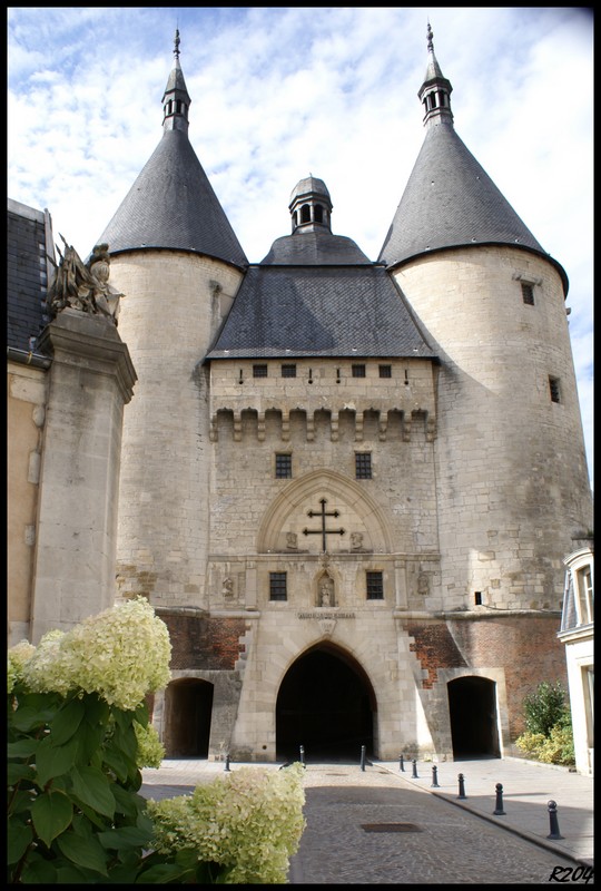 Visite de Nancy et du musée de la forêt de Haye - Page 6 Dsc08312