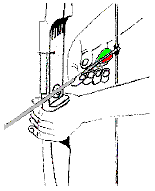 Tiro con l'arco  Incocc10