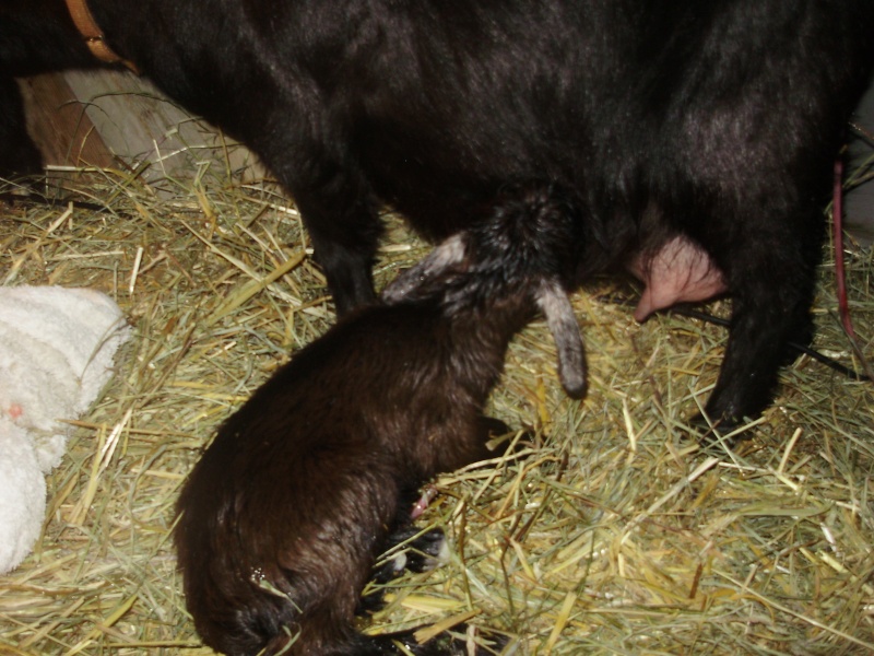 g'eny est maman !!! P3250015