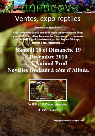 Vente Expo Réptile organiser par nous même (Animoove)dans le nord pas de calais (62950) Afiche10