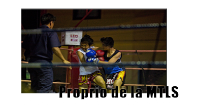 [FNO?/Sportif] Muay Thai Los Santos Club Propri10