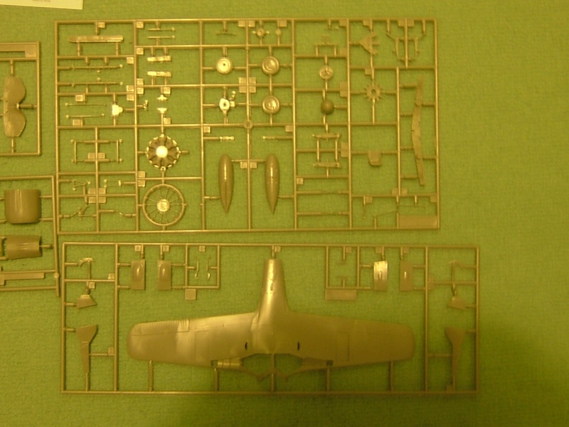 [Hasegawa] 1/48 - Focke-Wulf Fw 190 A-5 'Graf'   (fw190) Dscf1221