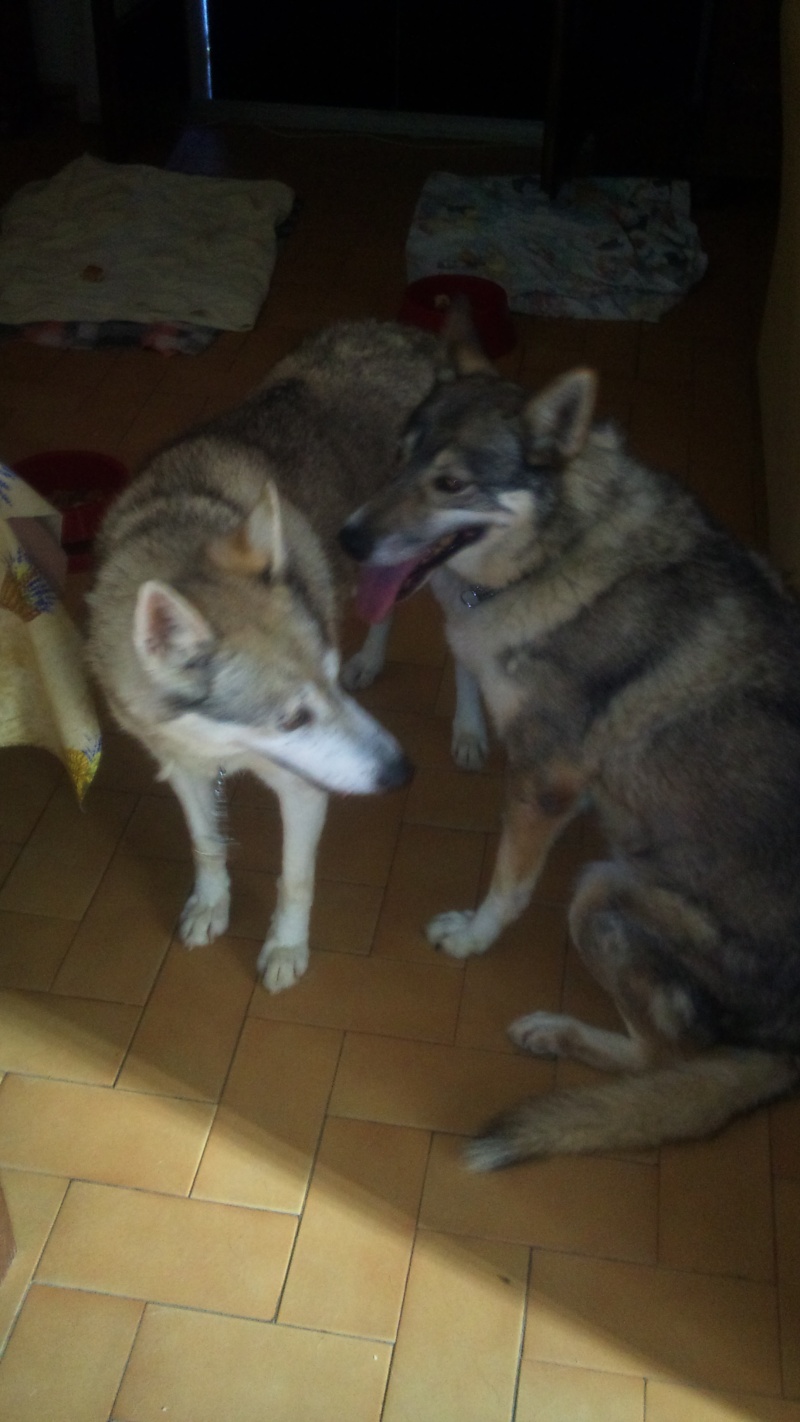 Tana et Djena LES 2 SOEURS SONT DECEDEES 00210