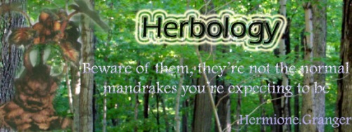 Herbology Banner Untitl10