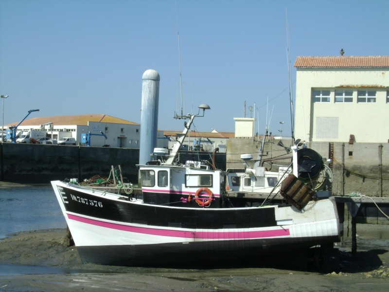 batreau oleron la rochelle - chalutiers , caseyeurs et fileyeurs de l'Ile d'Oléron et Marennes la Rochelle - Page 2 Dsc03812