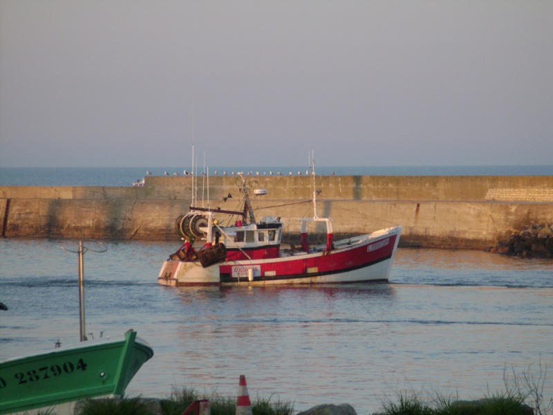 batreau oleron la rochelle - chalutiers , caseyeurs et fileyeurs de l'Ile d'Oléron et Marennes la Rochelle - Page 2 Dsc03881