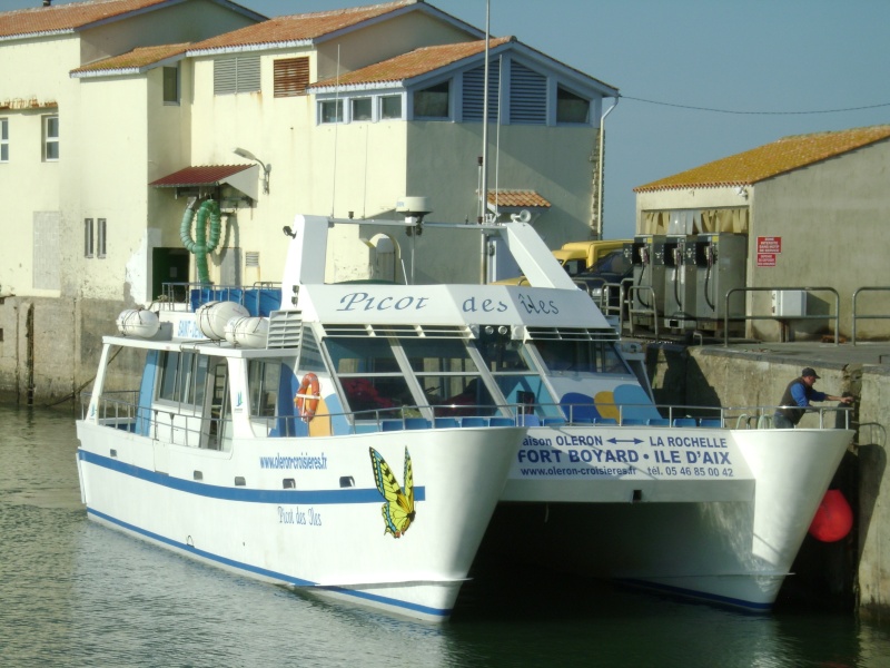 Picot Des Îles Dsc03918