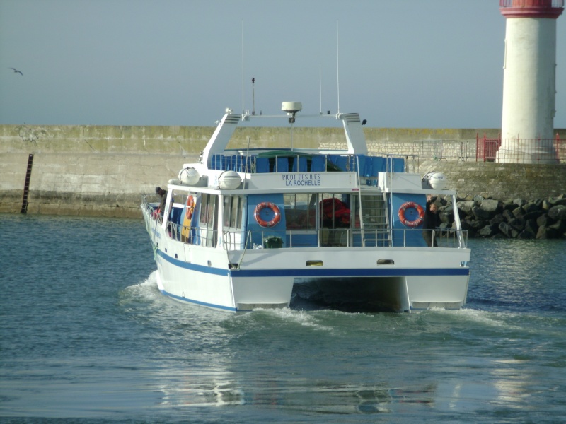 Picot Des Îles Dsc03919