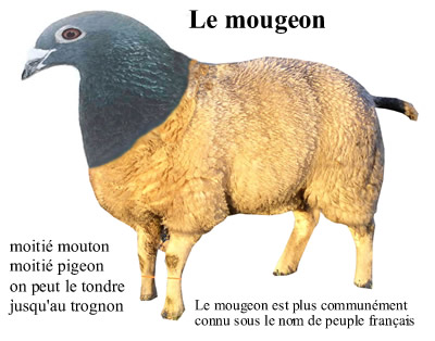 Tueurs de Mougeons