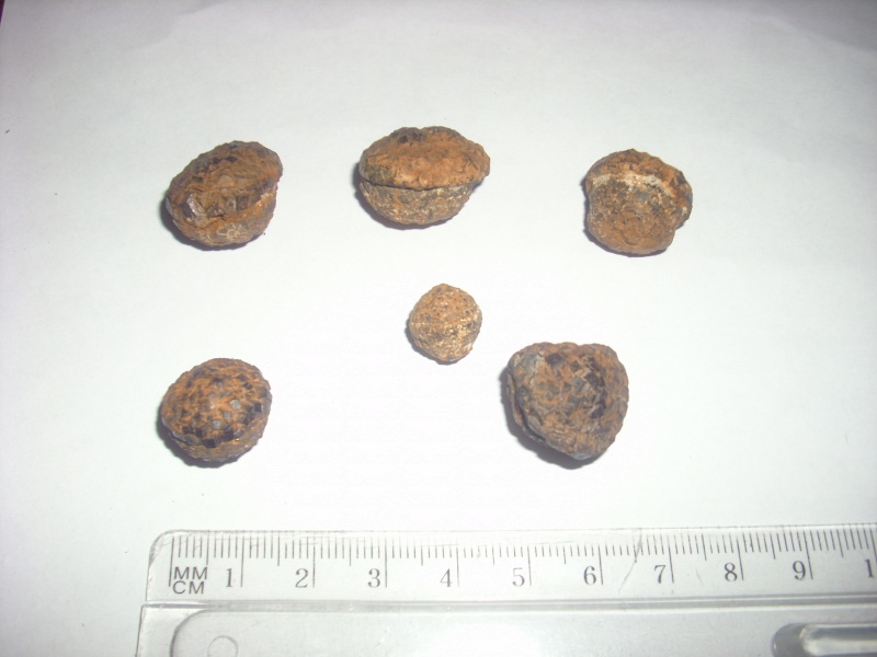 Possibili meteoriti, da identificare Img_0611