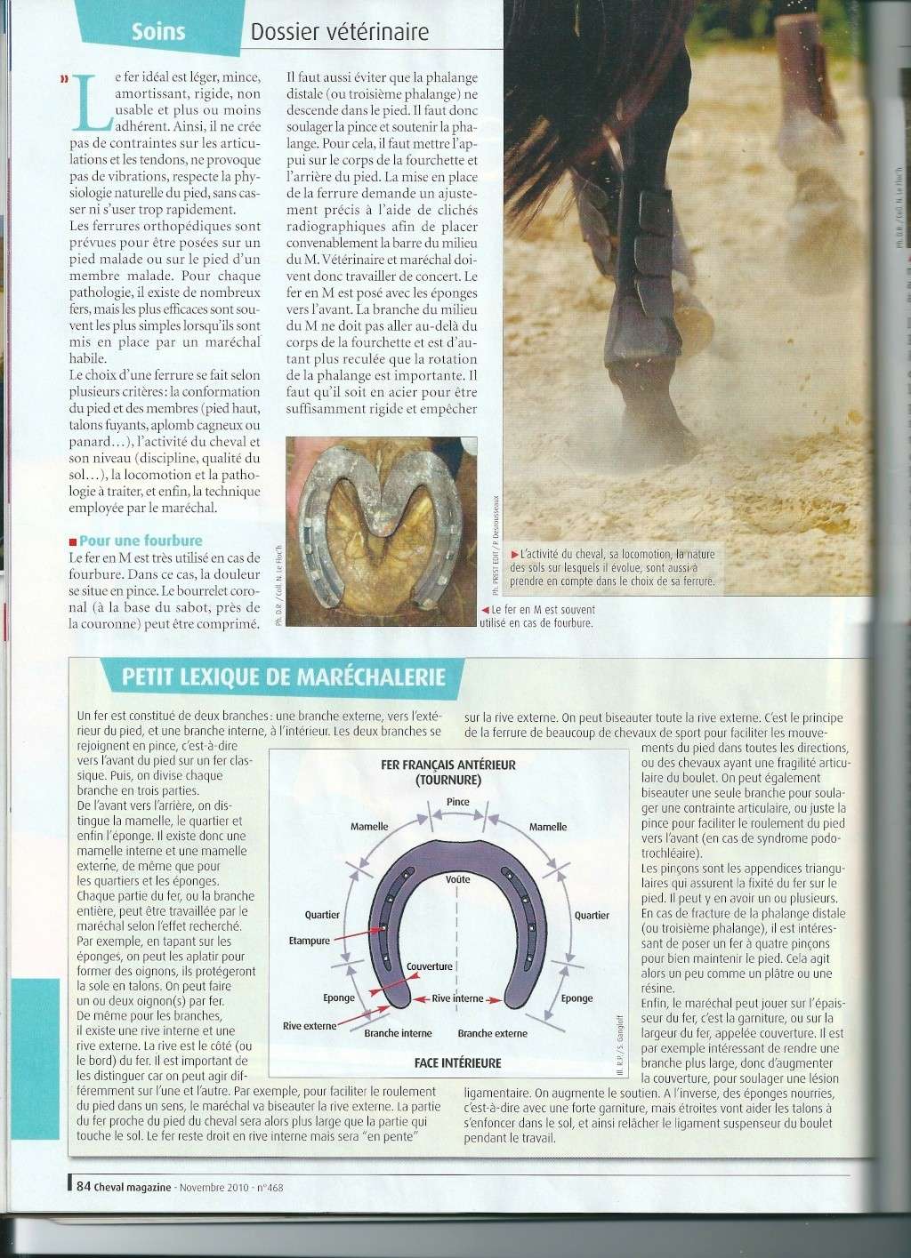 Ferrures du futur ( article cheval magazine nov. 2010 )  Scan211