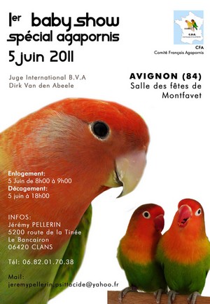 Baby Show Agapornis 2011 Affich11