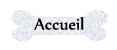 Accueil