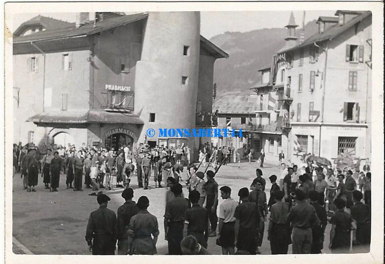 Maquis en Haute- Savoie As910