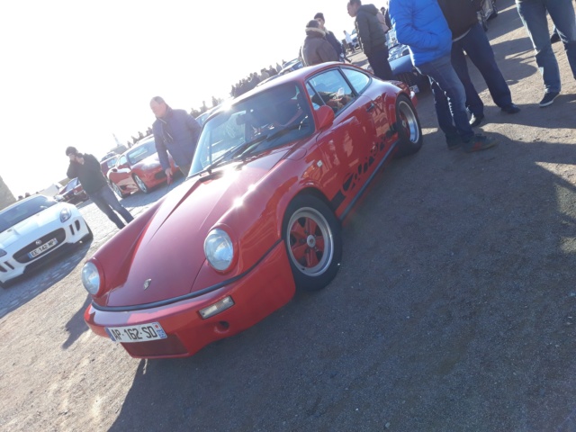 Un rasso vendéen sous un beau ciel bleu !! 96410