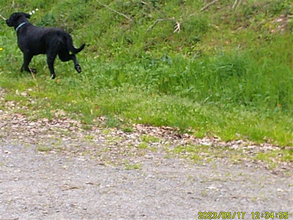 Irmine, ses enfants et les Beaucerons (3) - Page 19 Dscf0323