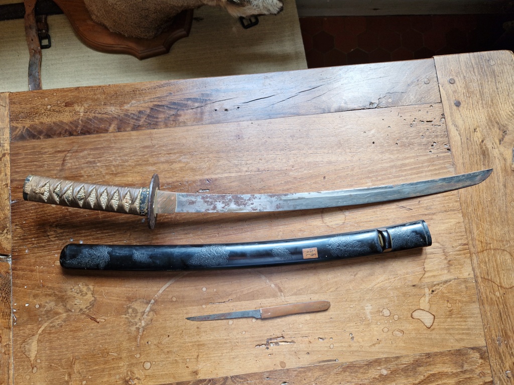 Wakizashi en Normandie 20240826