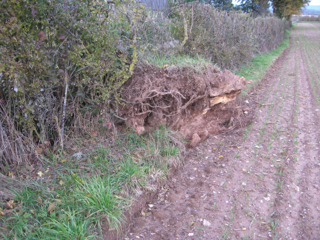 Tempête Img_0111