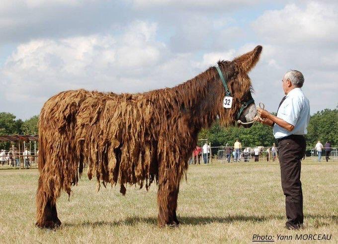 نقره لتكبير أو تصغير الصورة ونقرتين لعرض الصورة في صفحة مستقلة بحجمها الطبيعي