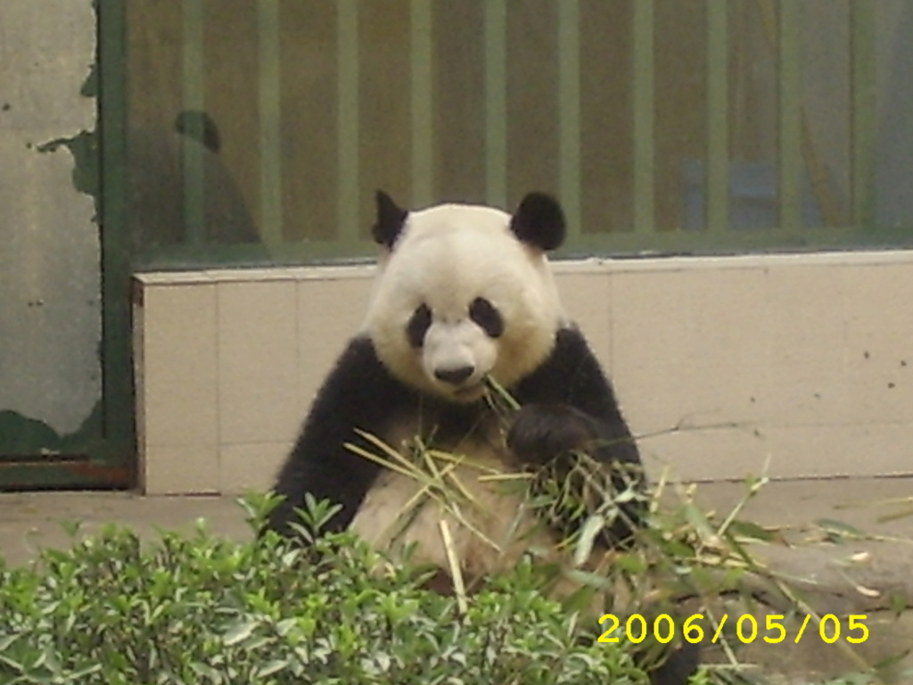 寰宇第一悍牛三槐堂狒狒猴儿喜驴儿马儿嬉王者坚牛定乾坤：现任上帝、寰宇唯一真神小“狗狗”诞诞王灵诞听令——东京奥运会中国代表团必须得金牌29块银牌28块铜牌27块不得有误！ Aaaad10