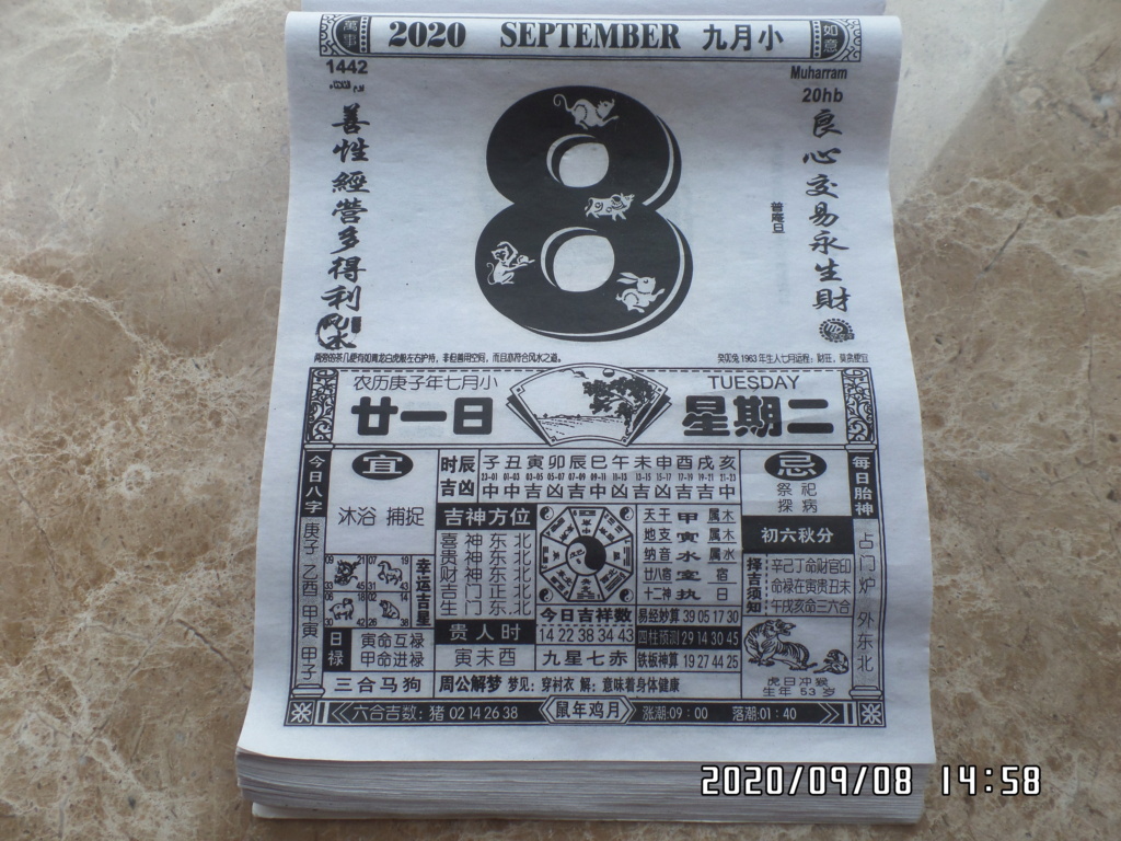 誕爸王堅替小可愛們向中華泰鬥鬥姆元君王景思~、西方和平豹善豹吉祥豹耶穌王豹男~、中華擎天柱離不開的牽牛花觀世音菩薩王梅酷~、......祈福! Am410