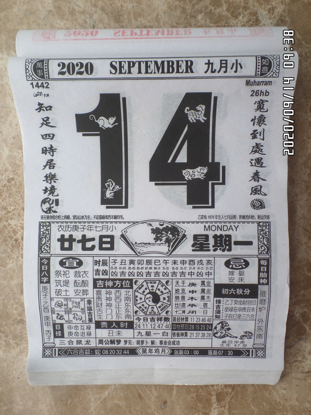 誕爸王堅替小可愛們向中華泰鬥鬥姆元君王景思~、西方和平豹善豹吉祥豹耶穌王豹男~、中華擎天柱離不開的牽牛花觀世音菩薩王梅酷~、......祈福! Sam_0614